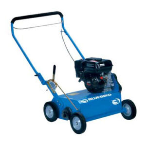 Lawn dethatcher rental – power rake for removing thatch and restoring grass health